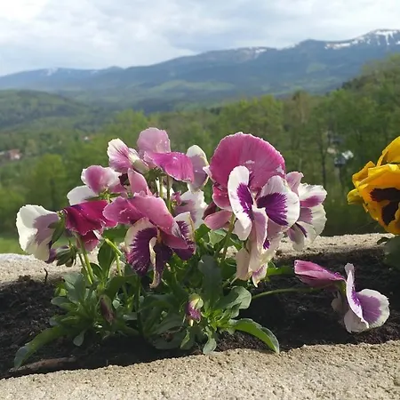 Uroczysko Starych Sztolni Couette-café