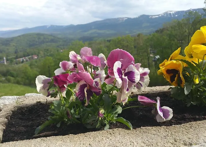 Uroczysko Starych Sztolni Panzió