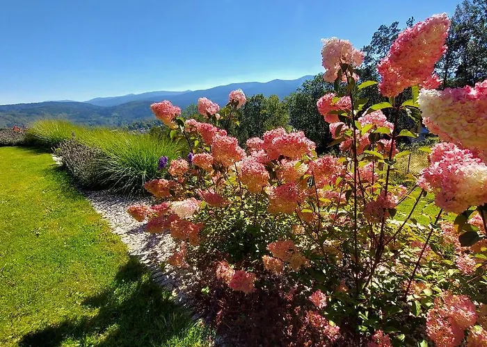 Uroczysko Starych Sztolni Panzió 3*