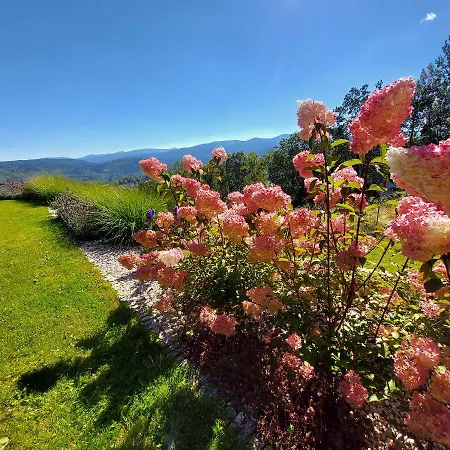 Uroczysko Starych Sztolni 住宿加早餐酒店 3*