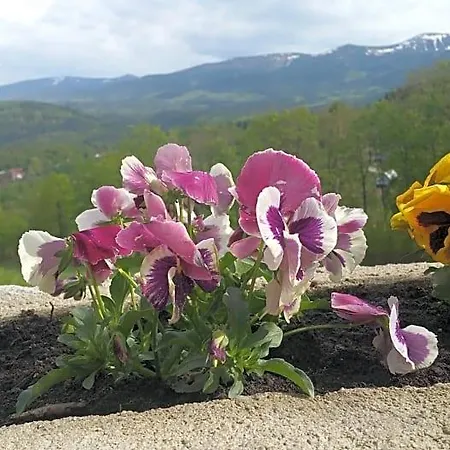 Uroczysko Starych Sztolni 3*