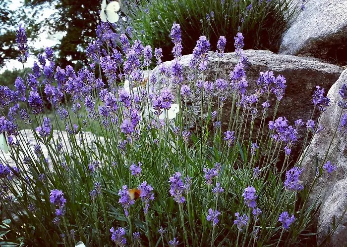 Uroczysko Starych Sztolni 3* Szklarska Poręba